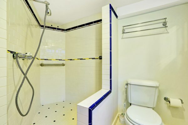 Walk-In Showers vs Tubs | Bathroom Blog | Warren RI